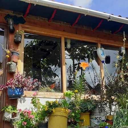 Hospedaje Bella Vista モングイ エクステリア 写真