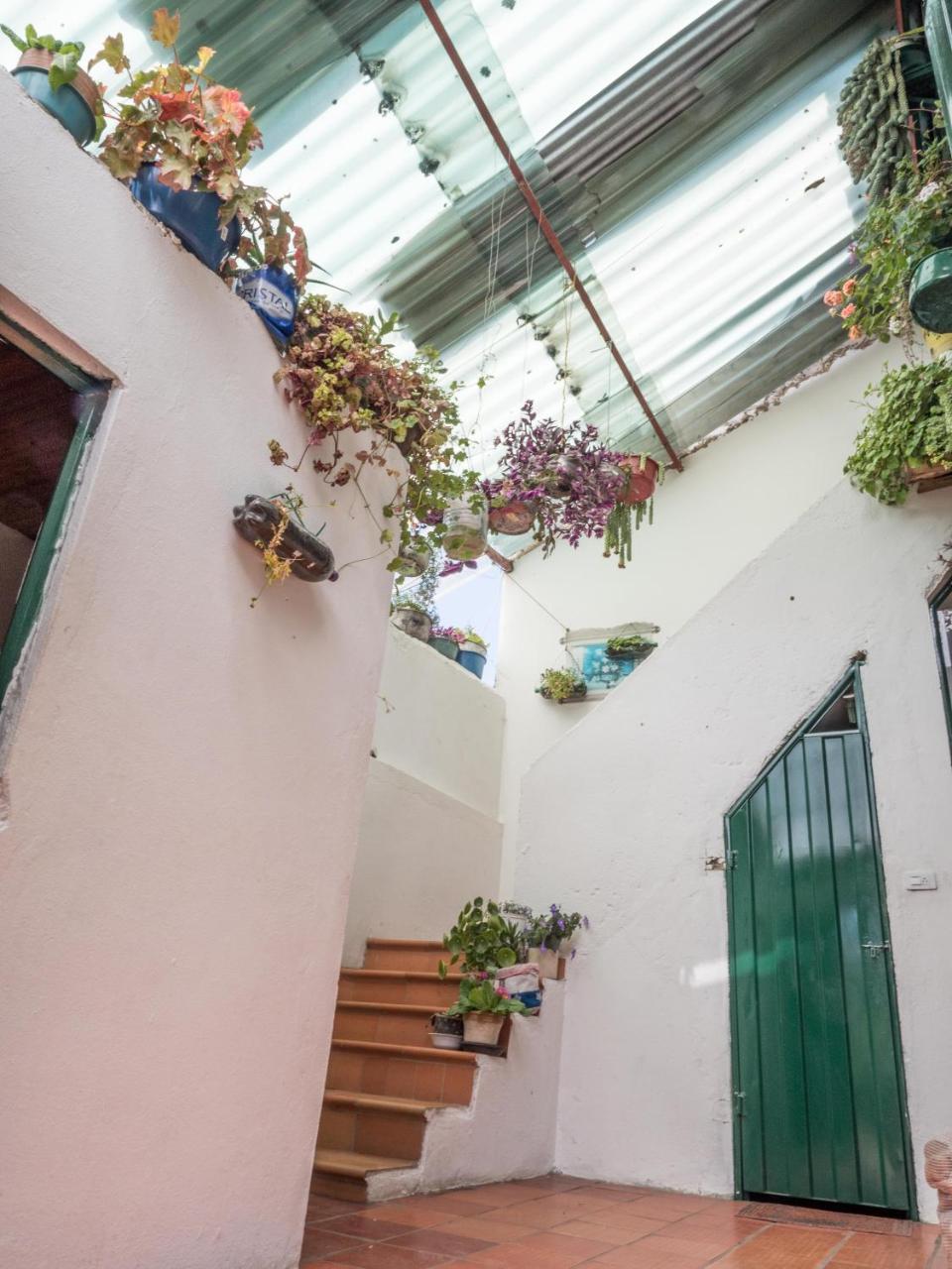 Hospedaje Bella Vista モングイ エクステリア 写真
