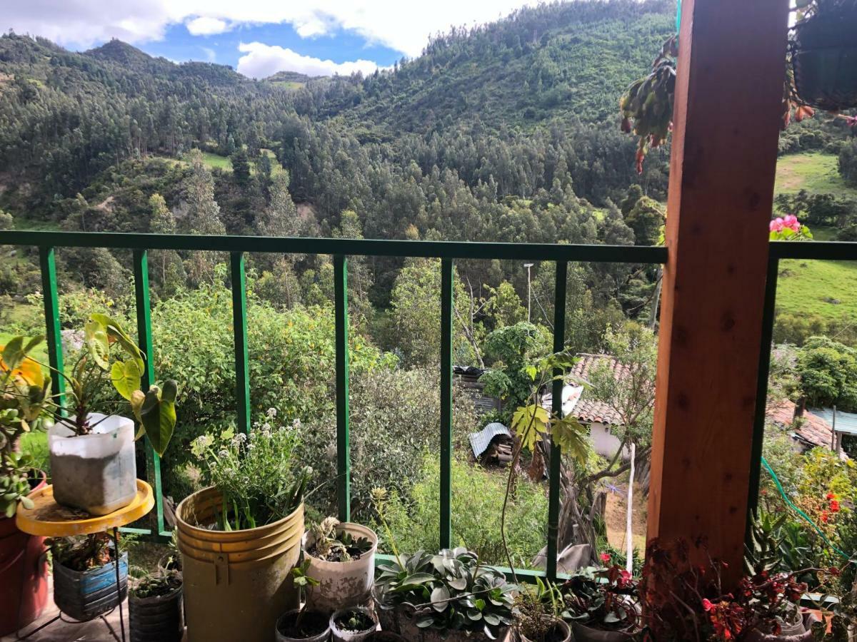 Hospedaje Bella Vista モングイ エクステリア 写真