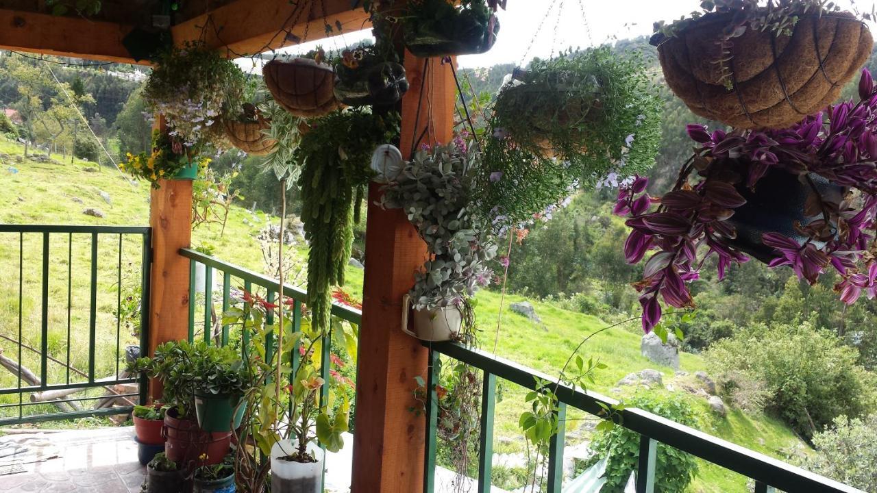 Hospedaje Bella Vista モングイ エクステリア 写真